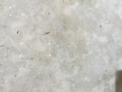 Kalinga Stone